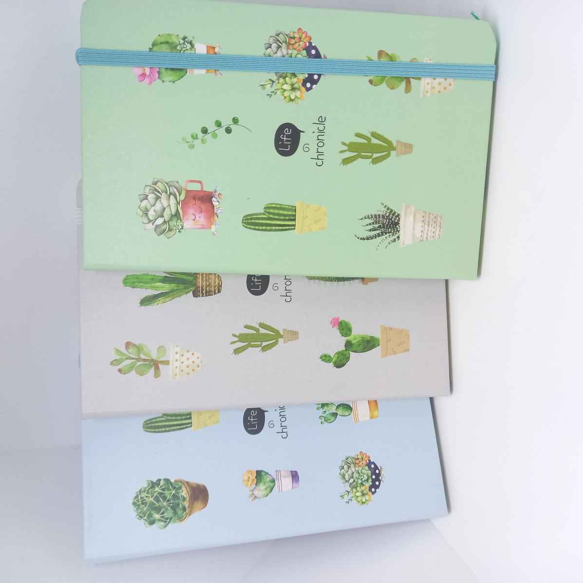 Cactus Notebook