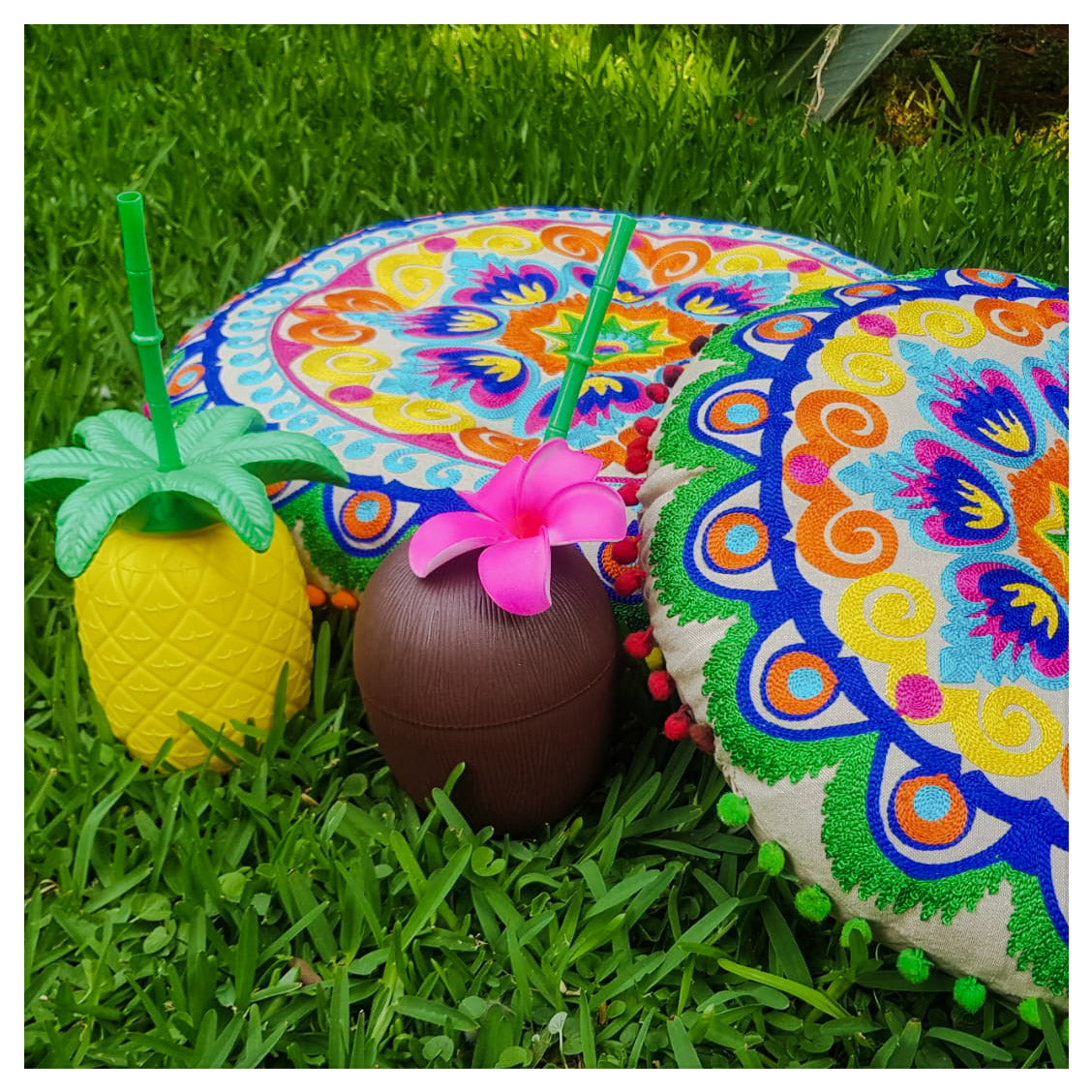 Summer Beach Party Supplies (Package includes 12 Coconut & 8 Pineapple)