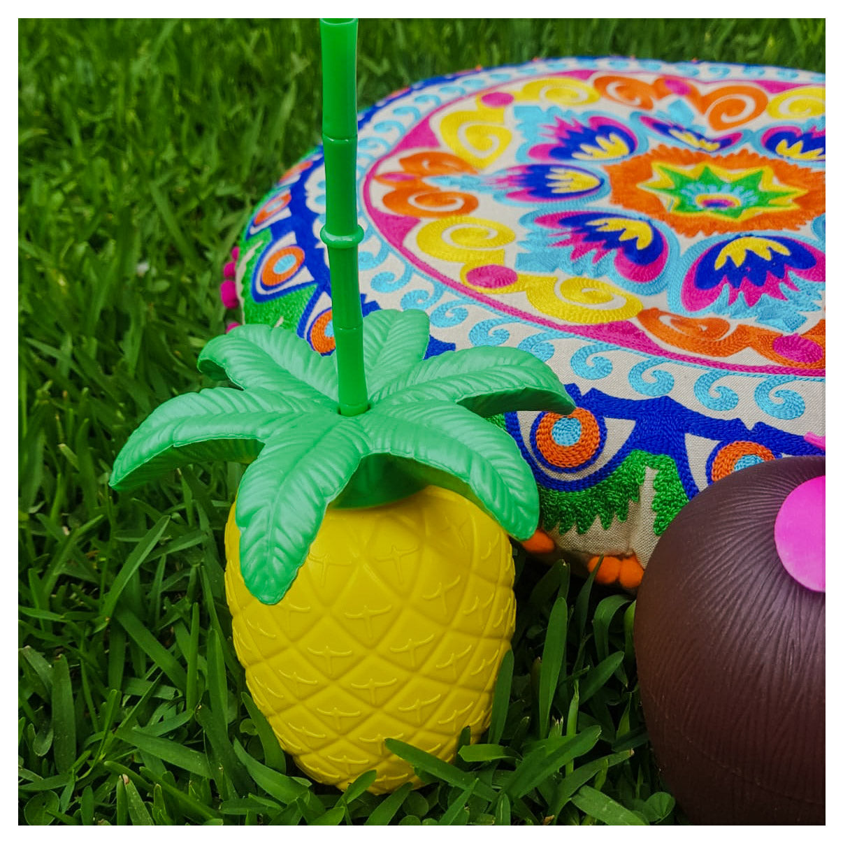 Summer Beach Party Supplies (Package includes 12 Coconut & 8 Pineapple)